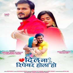 Dil Na Repair Hola Ho Image