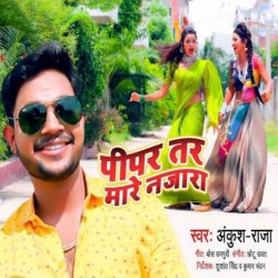 Pipar Tar Mare Najara Image