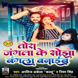 Tora Jangla Ke Sojha Bangla Banaib Image