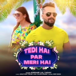 Tedi Hai Par Meri Hai Image