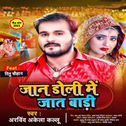Jaan Doli Me Jaat Badi Image