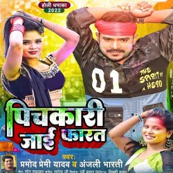 Pichkari Jaai Farat Image