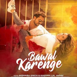 Bawal Karenge Image