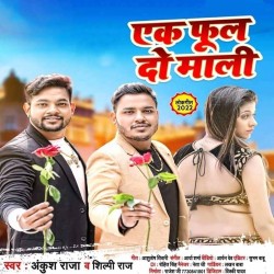 Ek Phool Do Mali Image