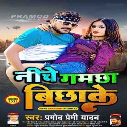 Niche Gamchha Bichhake Image