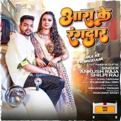 Ara Ke Rangdaar Image