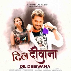 Dil Deewana Image