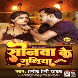 Sonwa Ke Guliya Image