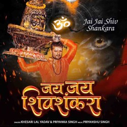 Jai Jai Shiv Shankara Image