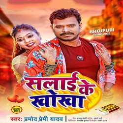 Salai Ke Khokha Image