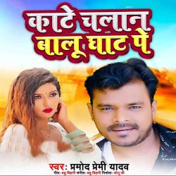 Kate Chalan Balu Ghaat Pe Image