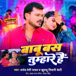 Babu Bas Tumhare Hain Image