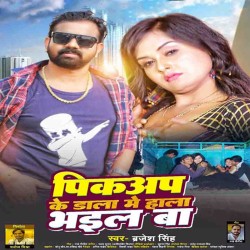 Pickup Ke Daala Me Haala Bhail Ba Image