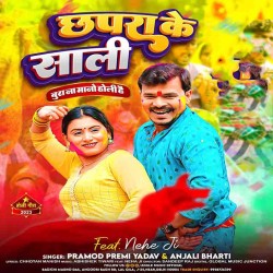 Chhapra Me Saali Chhekas Duaari Image
