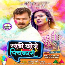 Saari Khoje Pichakari Holi Me Rowata Saya Ho Image