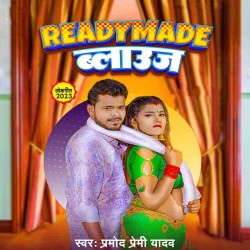 Readymade Blouse Image