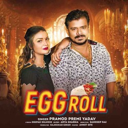 Egg Roll Image