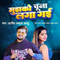 Mujhko Chuna Laga Gayi Image