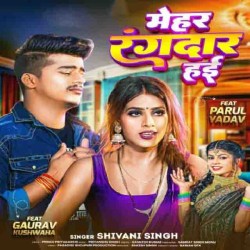 Mehar Rangdar Hayi Image