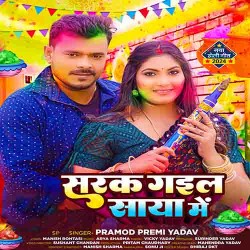Choli Se Rangwa Chuke Sarak Gail Saya Me Image