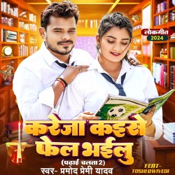 Kareja Kaise Fail Bhailu Image