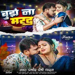 Bujhe Na Marad Image