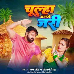 Hamra Se Ladabu Je Ghari Ghari Chulha Alage Jari Image