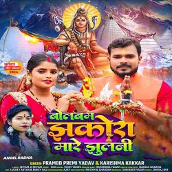 Jhakora Mare Jhulani Kawar Lahraye Ho Image
