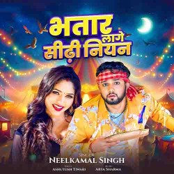 Bhatar Lage Sidhi Niyan Image