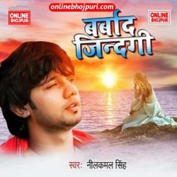 Barbaad Zindagi Image