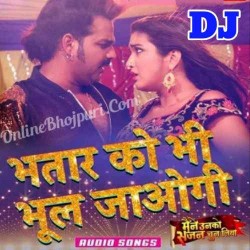 Bhatar Ko Bhi Bhul Jaogi DJ Remix Song Image