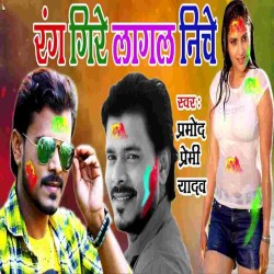 Man Bhar Gail Bhitar Gail Gire Lagal Niche Gana Image