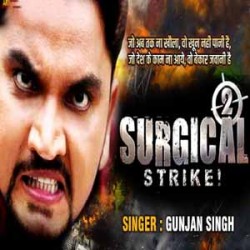 Surgical Strike 2 Image