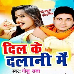 Dil Ke Dalani Me Image