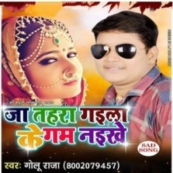 Ja Tahara Gaila Ke Gum Naikhe Image