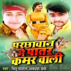 Parchhawan Me Patar Kamar Wali Image