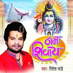 Namah Shivay Image
