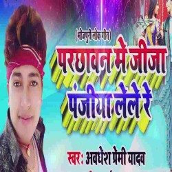 Parichhawan Me Jija Panjiya Lele Re Image