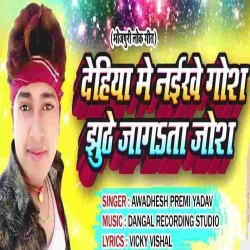 Dehi Me Naikhe Gos Jhuthe Jagal Ba Josh Image