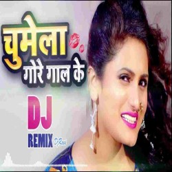 Hardam Chumat Rahela Gore Gal Ke DJ Remix Song Image