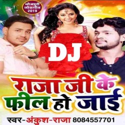 Raja Ji Ke Fil Ho Jai DJ Song Image