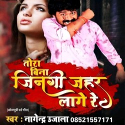 Tora Bina Zindagi Jahar Lage Re Image