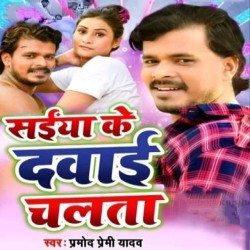 Saiya Ke Dawai Chalata Image