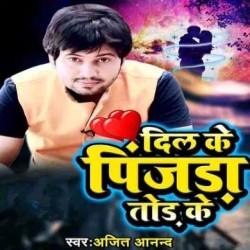 Dil Ke Pinjara Tod Ke Image