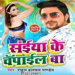 Saiya Ke Chapayil Ba Image