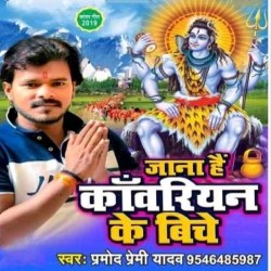 Jana Hai Kanwariya Ke Biche Image