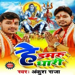 He Damaroo Dhari Image