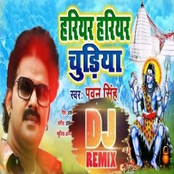Hariyar Hariyar Chudiya A Jija Hamaro Ke Le Aiha Dj Song Image