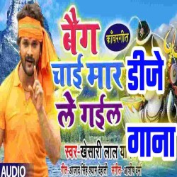 Bhauji Ke Bag Chai Mar Le Gail Dj Song Image