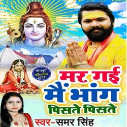 Mar Gayi Bhang Pusate Pisate Image
